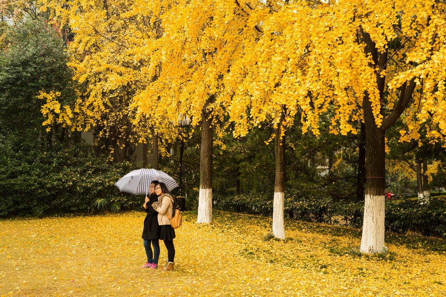 深秋下雨圖片_唯美圖片