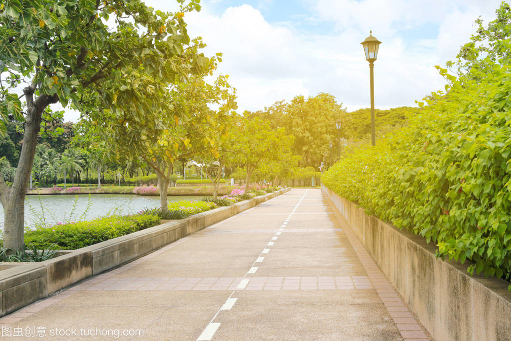 早上公園陽光明媚的圖片3