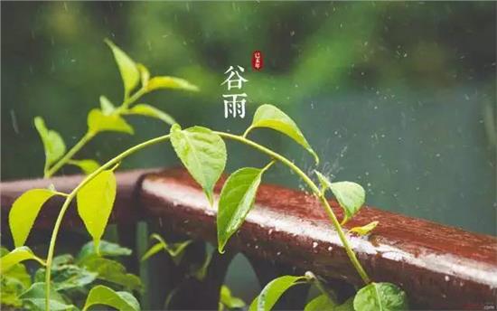 好雨知时节当春乃发生谷雨生动图片5