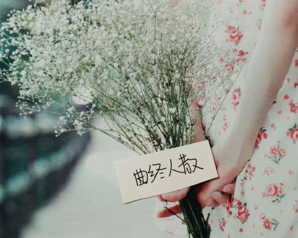 曲终人散的过往(8)_唯美图片